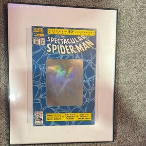 Spectacular Spider-Man Framed Comic